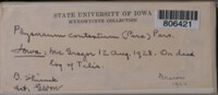 Image Associated With the Occurence